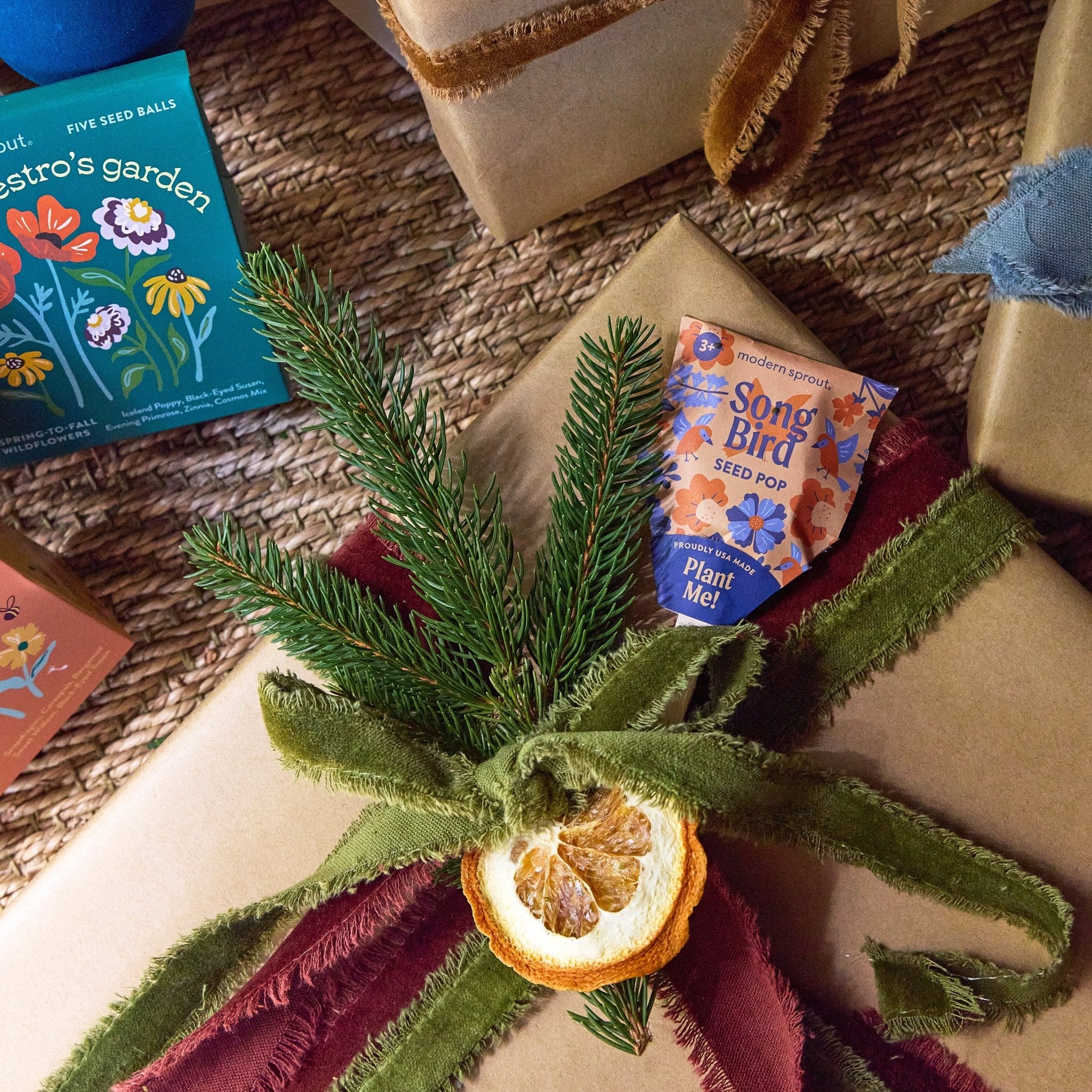 Seed Pops - Pollinator - Cheeky Garden