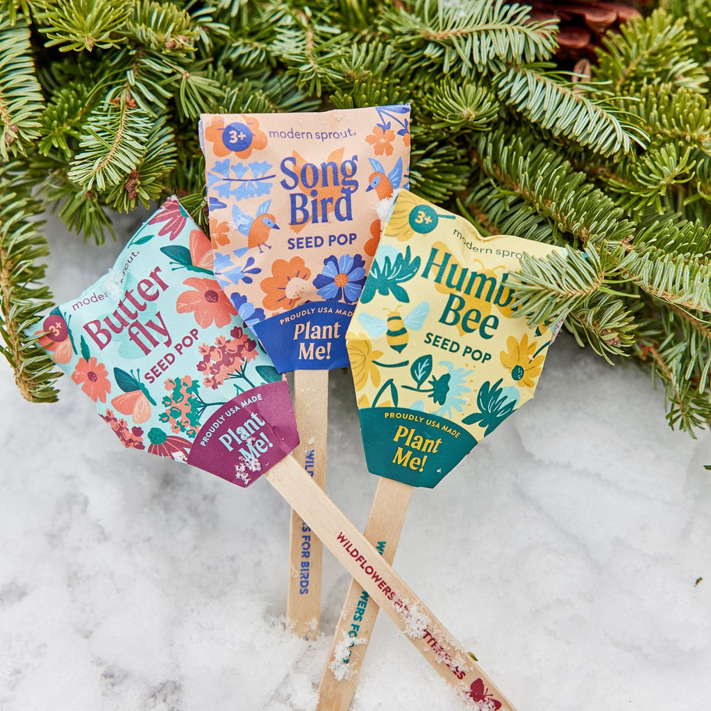Seed Pops - Pollinator - Cheeky Garden