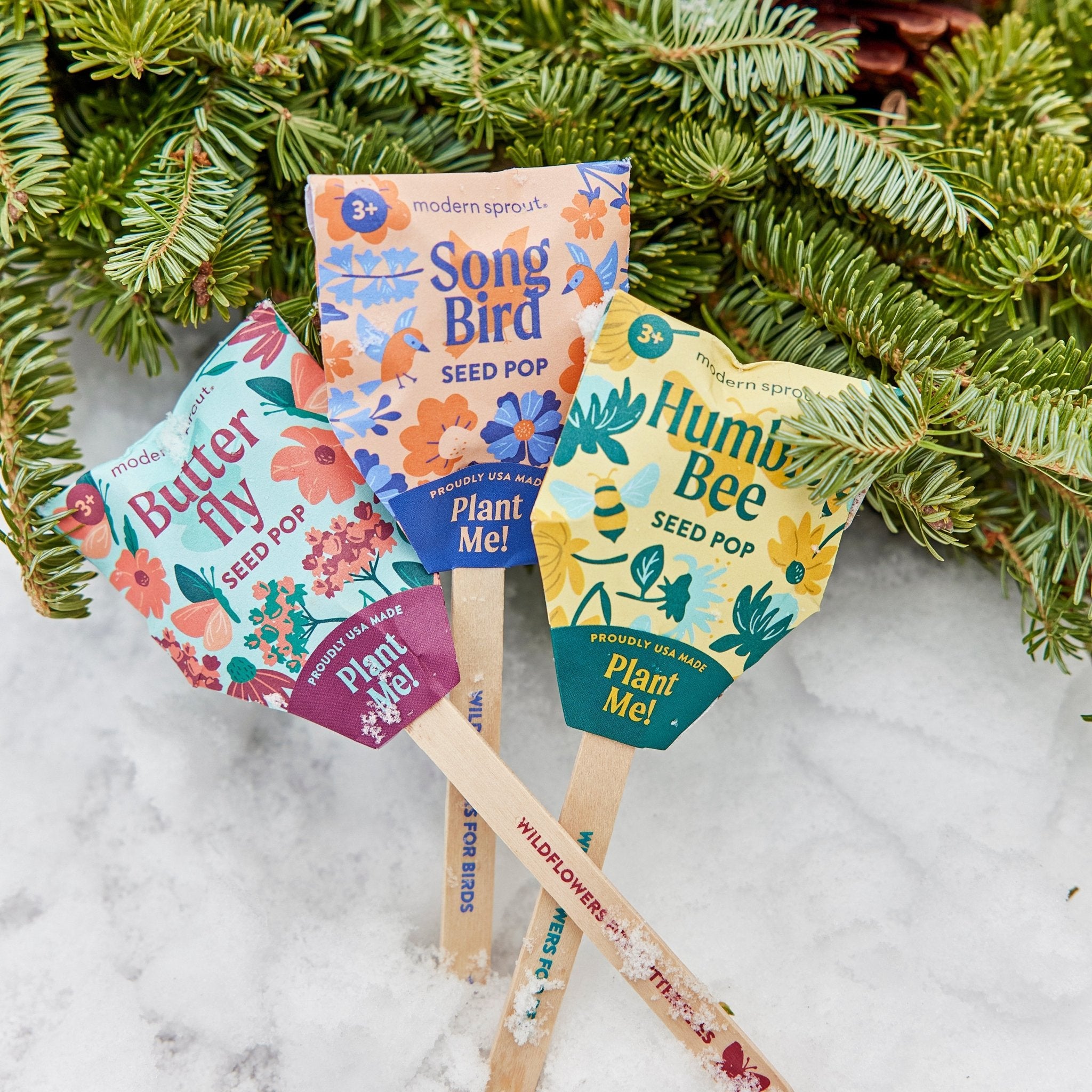 Seed Pops - Pollinator - Cheeky Garden