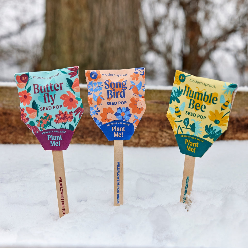 Seed Pops - Pollinator - Cheeky Garden