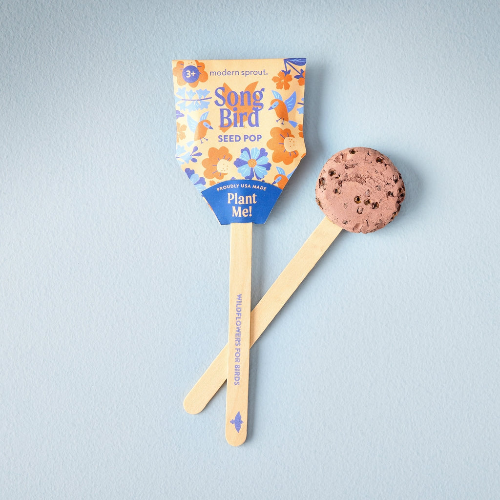 Seed Pops - Pollinator - Cheeky Garden