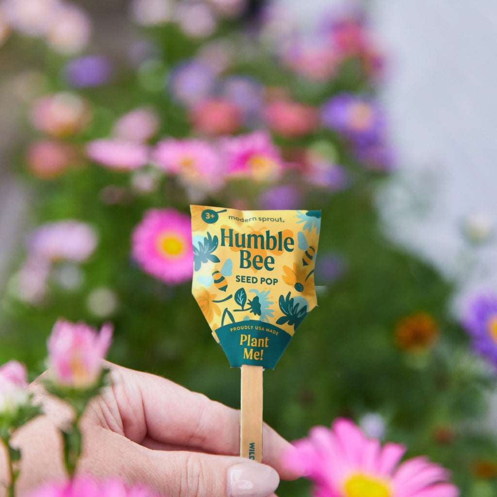 Seed Pops - Pollinator - Cheeky Garden