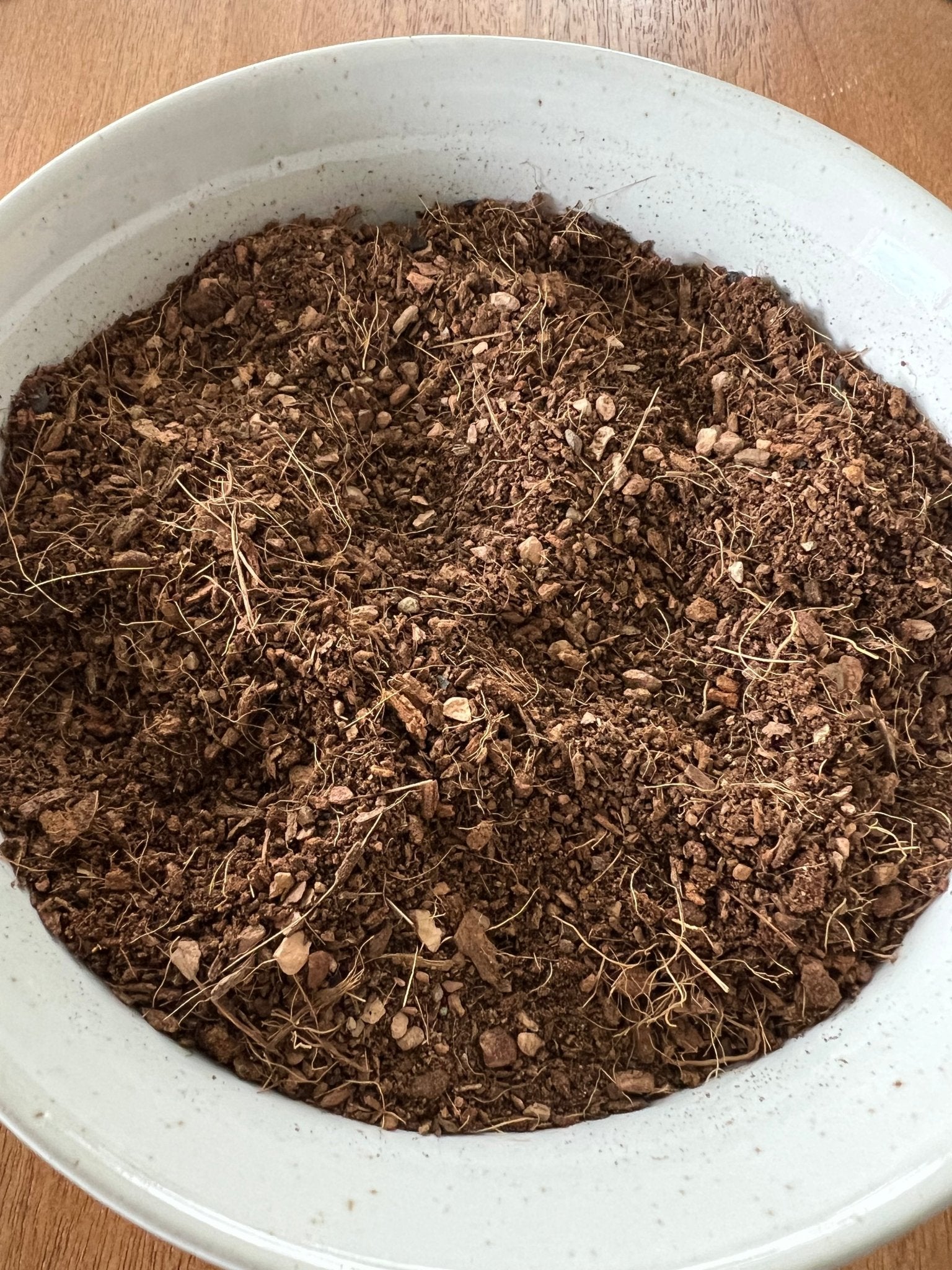 Seedling & Propagation Mix - Cheeky Garden