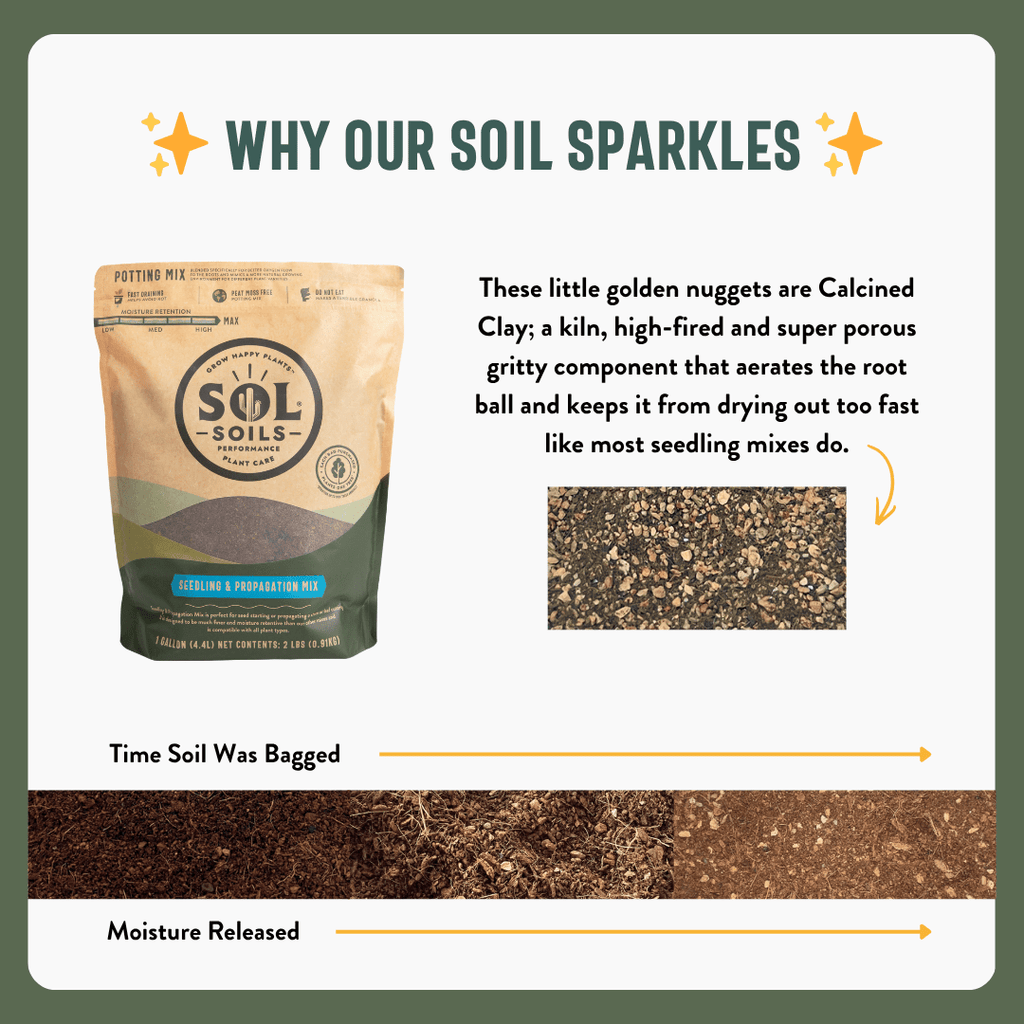 Seedling & Propagation Mix - Cheeky Garden