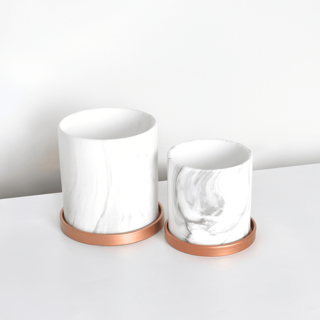 Selene & Athena Ceramic Marble Planter Bundle – Empty - Cheeky Garden