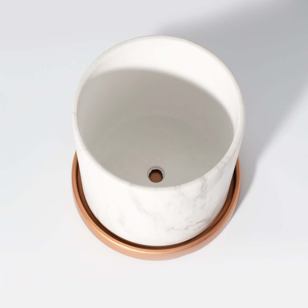 Selene Large Ceramic 6.5" Marble Planter - Empty - Cheeky Garden