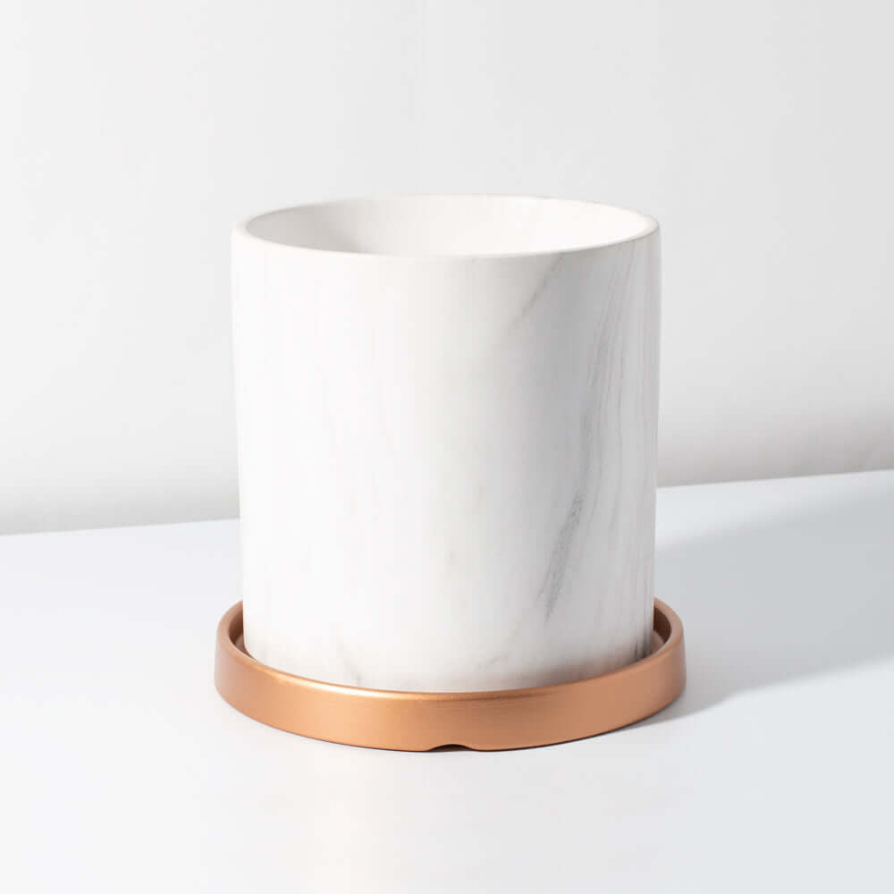 Selene Large Ceramic 6.5" Marble Planter - Empty - Cheeky Garden