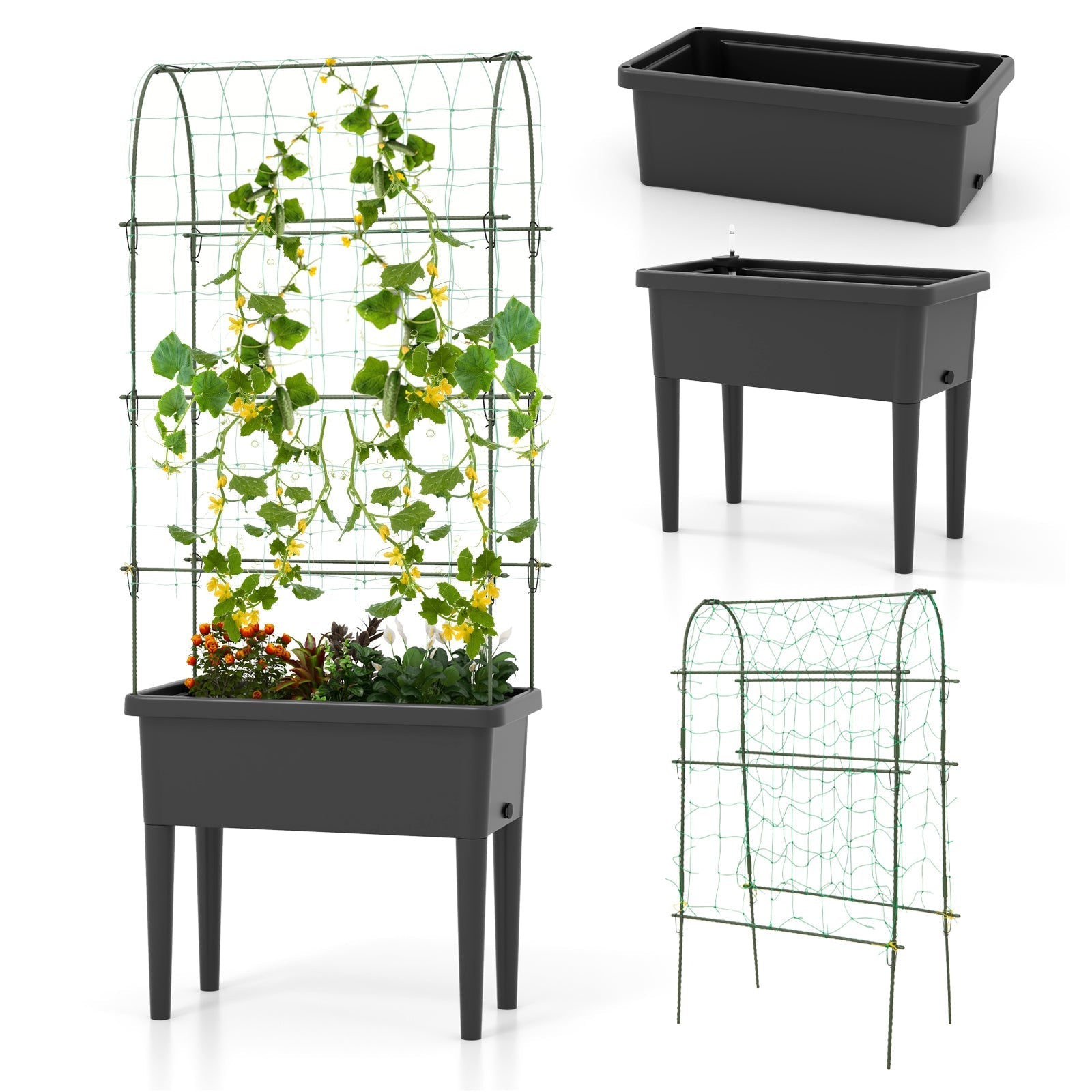 Self-watering Raised Garden Bed Elevated Planter with Climbing Trellis-Black - Cheeky Garden
