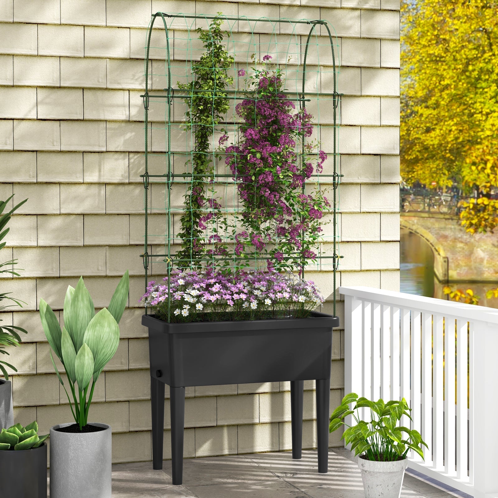 Self-watering Raised Garden Bed Elevated Planter with Climbing Trellis-Black - Cheeky Garden