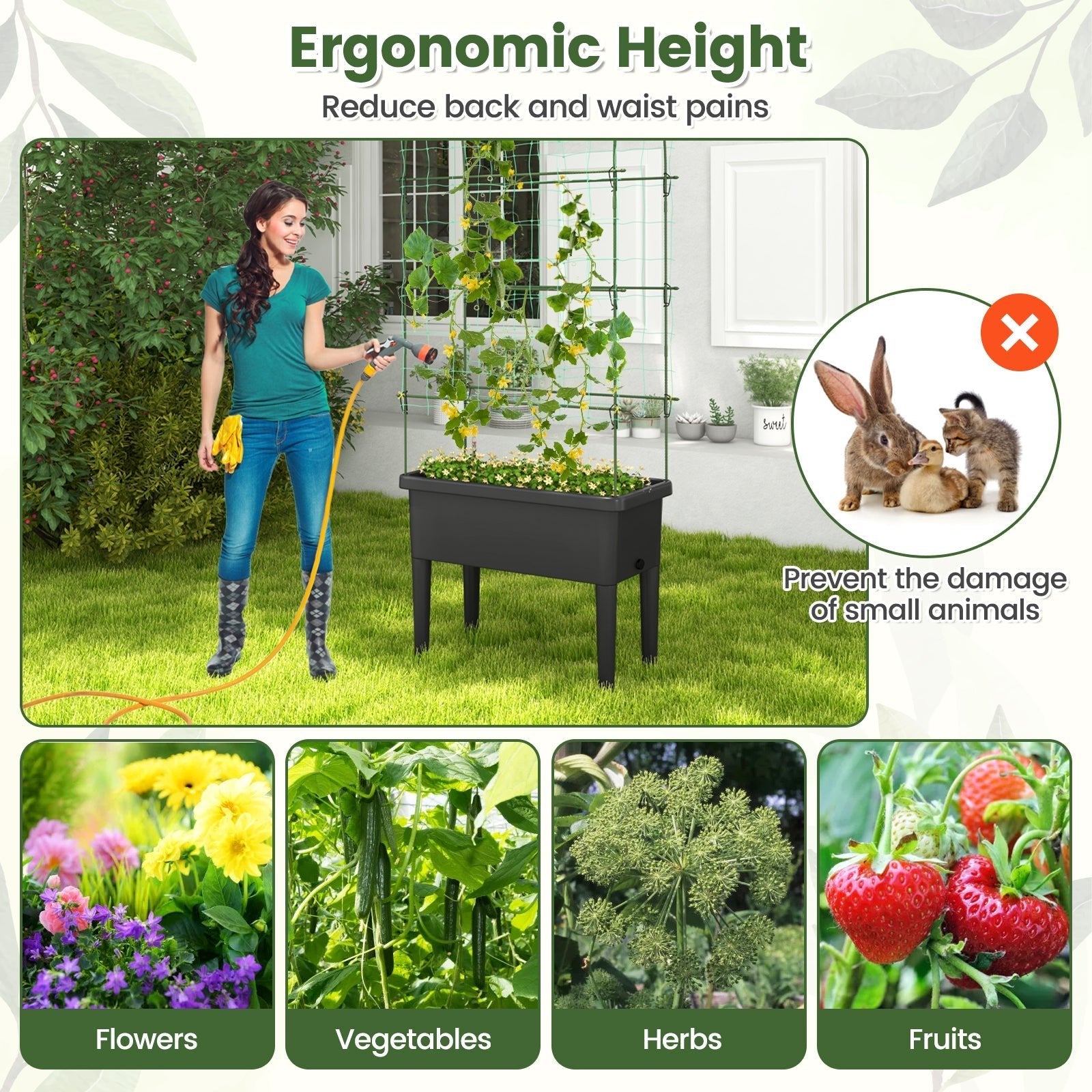 Self-watering Raised Garden Bed Elevated Planter with Climbing Trellis-Black - Cheeky Garden
