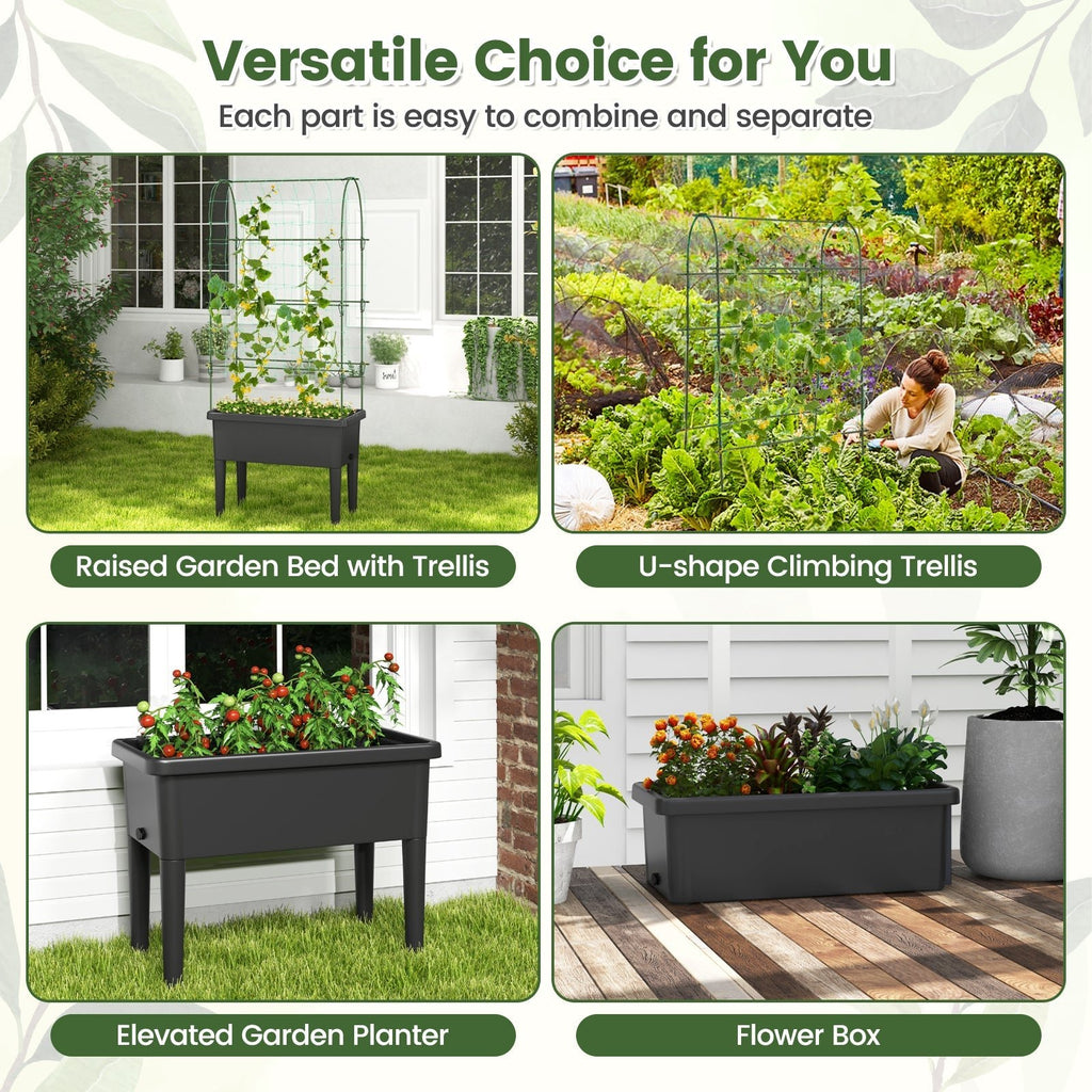 Self-watering Raised Garden Bed Elevated Planter with Climbing Trellis-Black - Cheeky Garden
