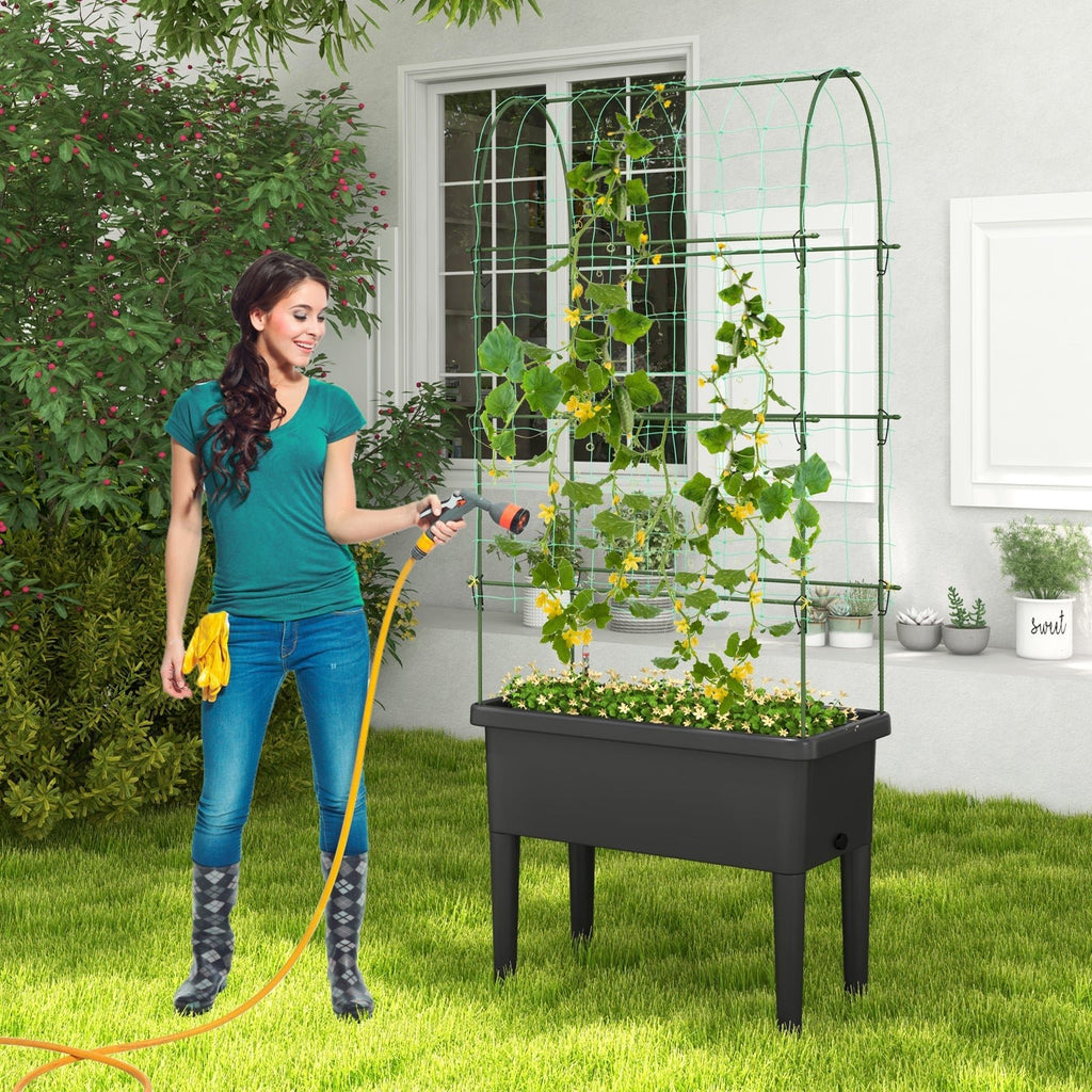 Self-watering Raised Garden Bed Elevated Planter with Climbing Trellis-Black - Cheeky Garden