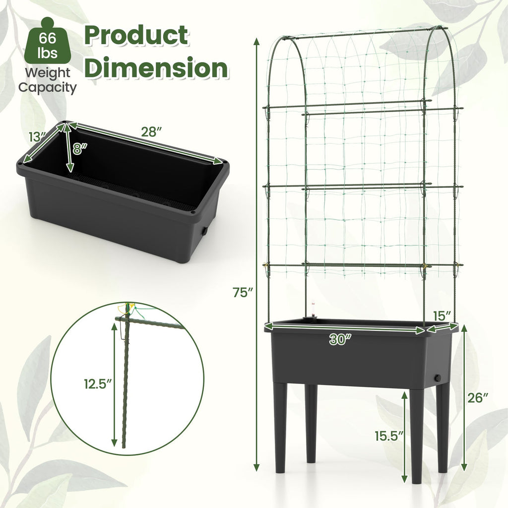 Self-watering Raised Garden Bed Elevated Planter with Climbing Trellis-Black - Cheeky Garden