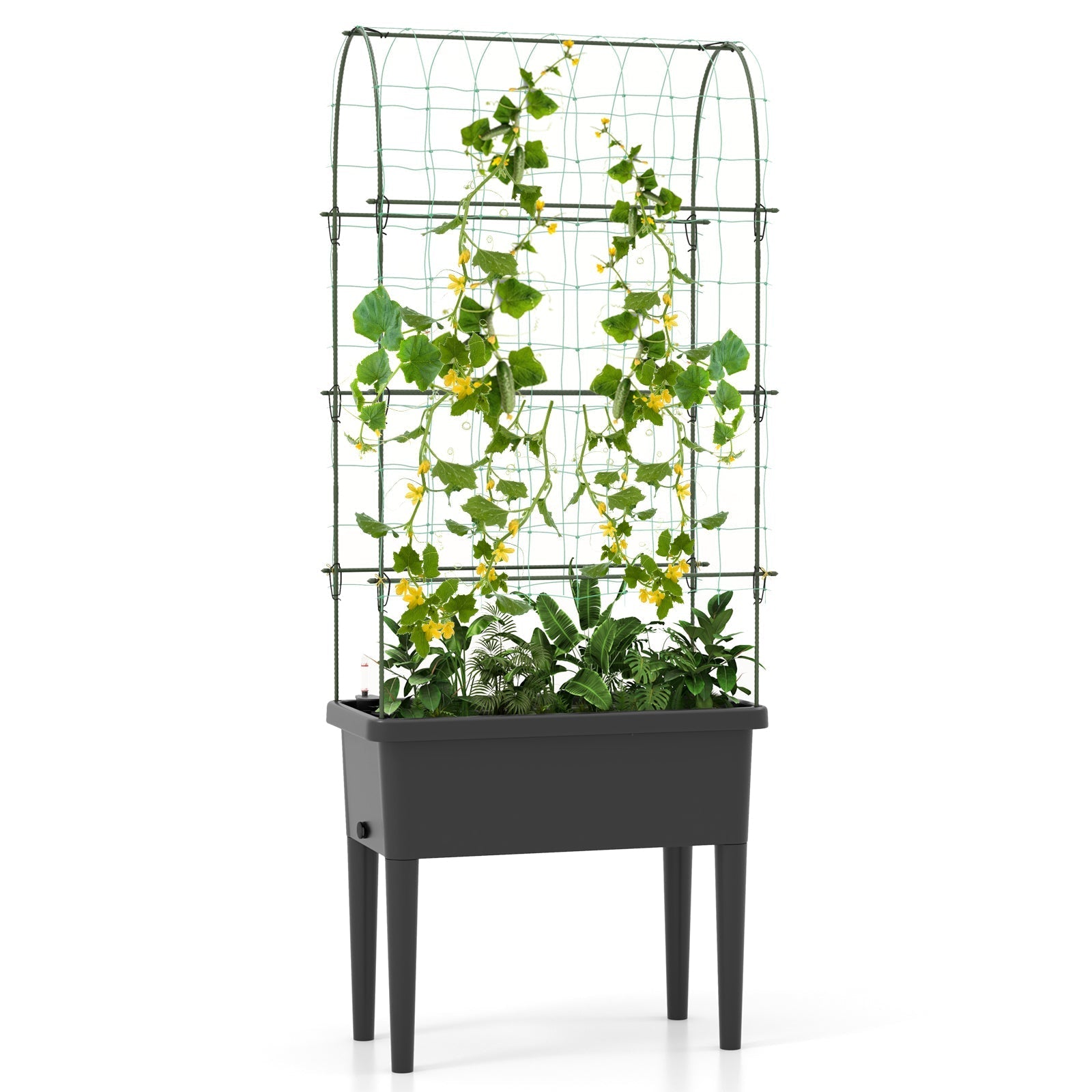 Self-watering Raised Garden Bed Elevated Planter with Climbing Trellis-Black - Cheeky Garden