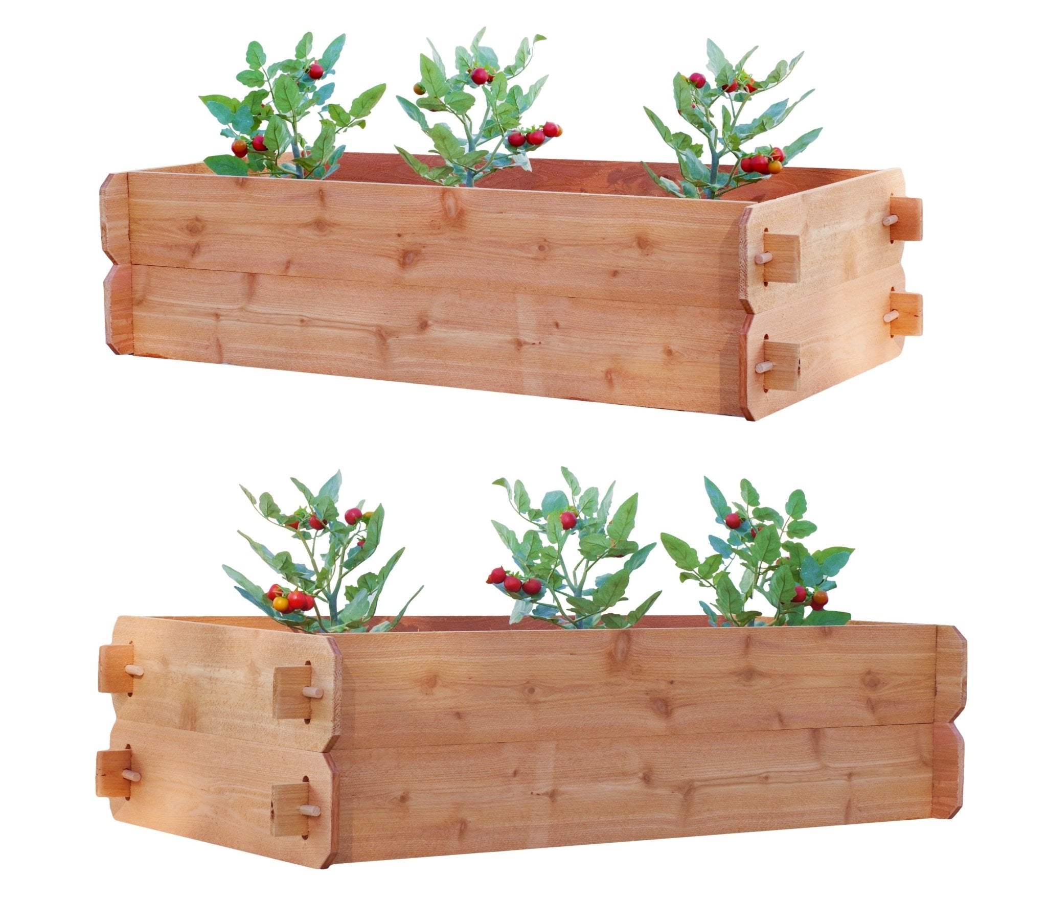 Set of 2 Easy Double Deep Cedar Raised Bed Kits – 2’ x 4’ - Cheeky Garden