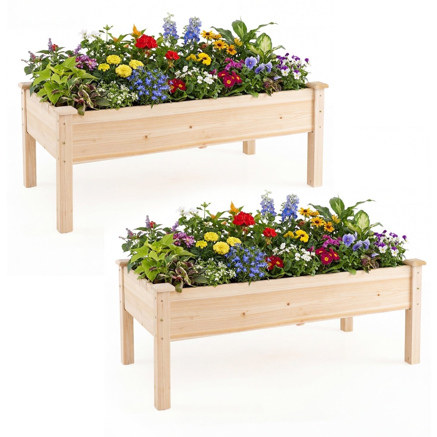 Set of 2 Wooden Raised Garden Bed with Legs Natural Fir Wood Elevated Planter Box - Cheeky Garden