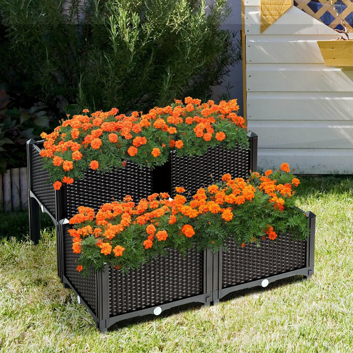 Set of 4 Elevated Flower Vegetable Herb Grow Planter Box - Cheeky Garden