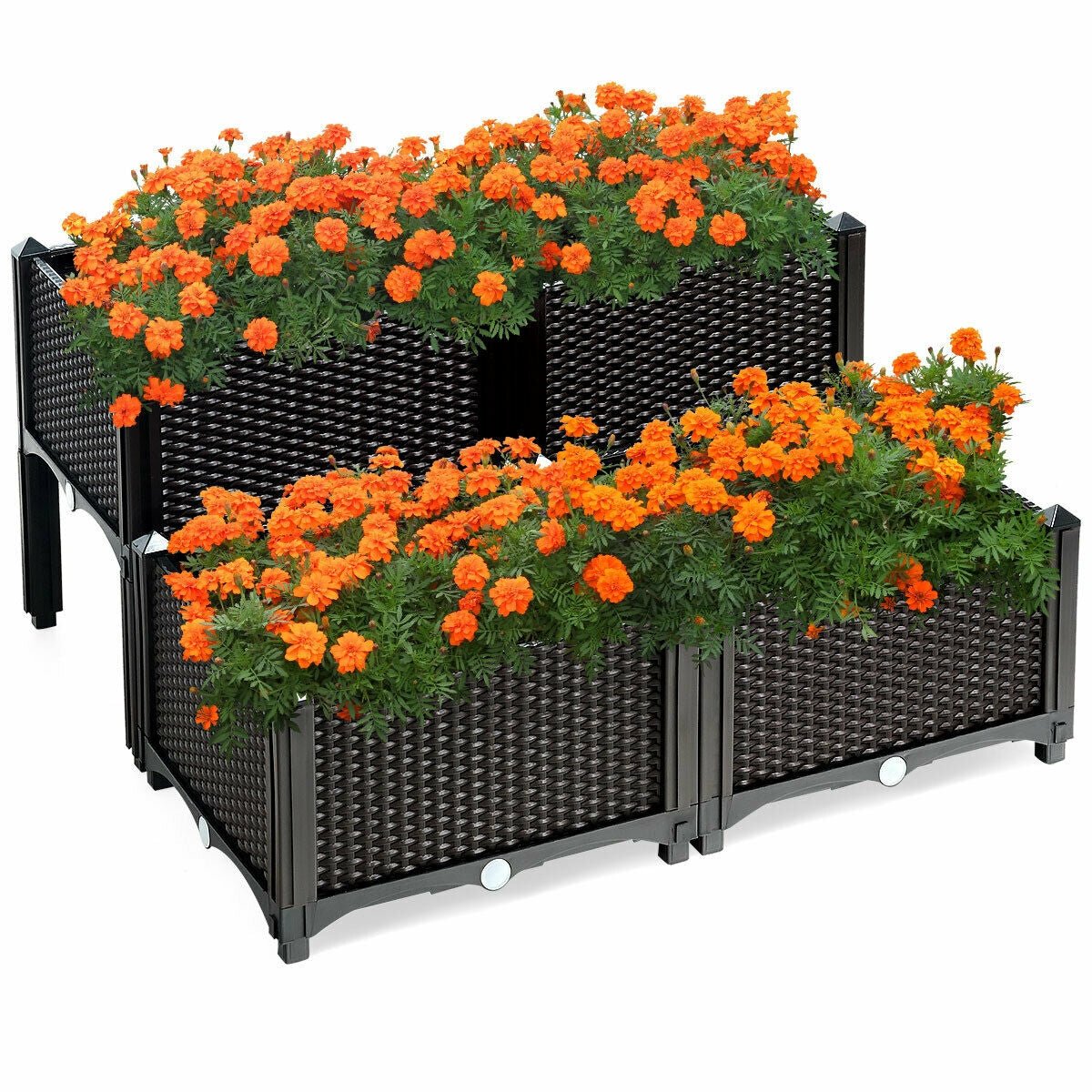 Set of 4 Elevated Flower Vegetable Herb Grow Planter Box - Cheeky Garden