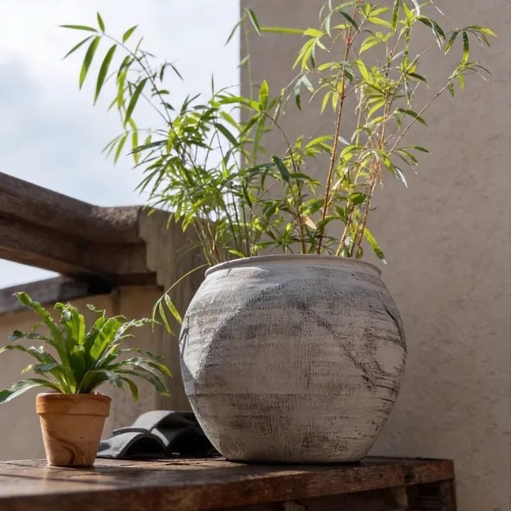 Sierra Round Pot Planter - Cheeky Garden