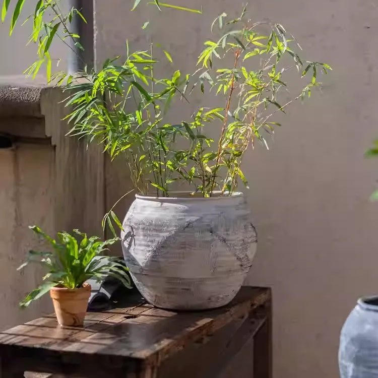 Sierra Round Pot Planter - Cheeky Garden