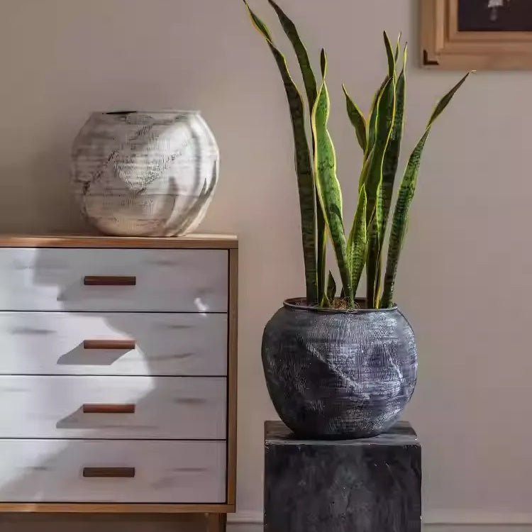 Sierra Round Pot Planter - Cheeky Garden