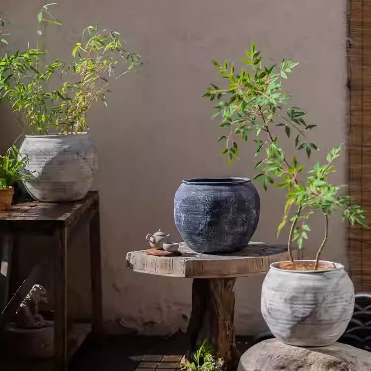 Sierra Round Pot Planter - Cheeky Garden