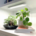 Smart Growbar - Cheeky Garden