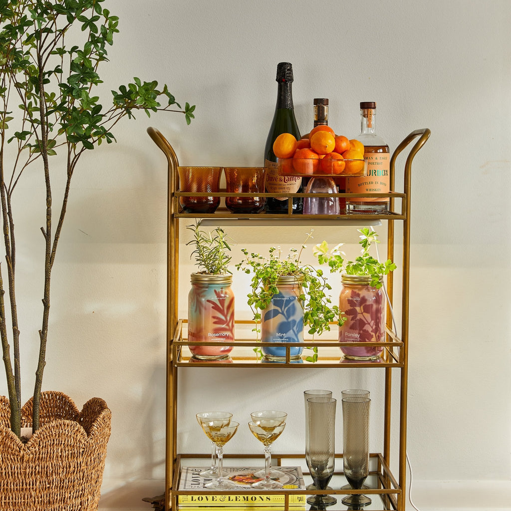 Smart Growbar - Cheeky Garden