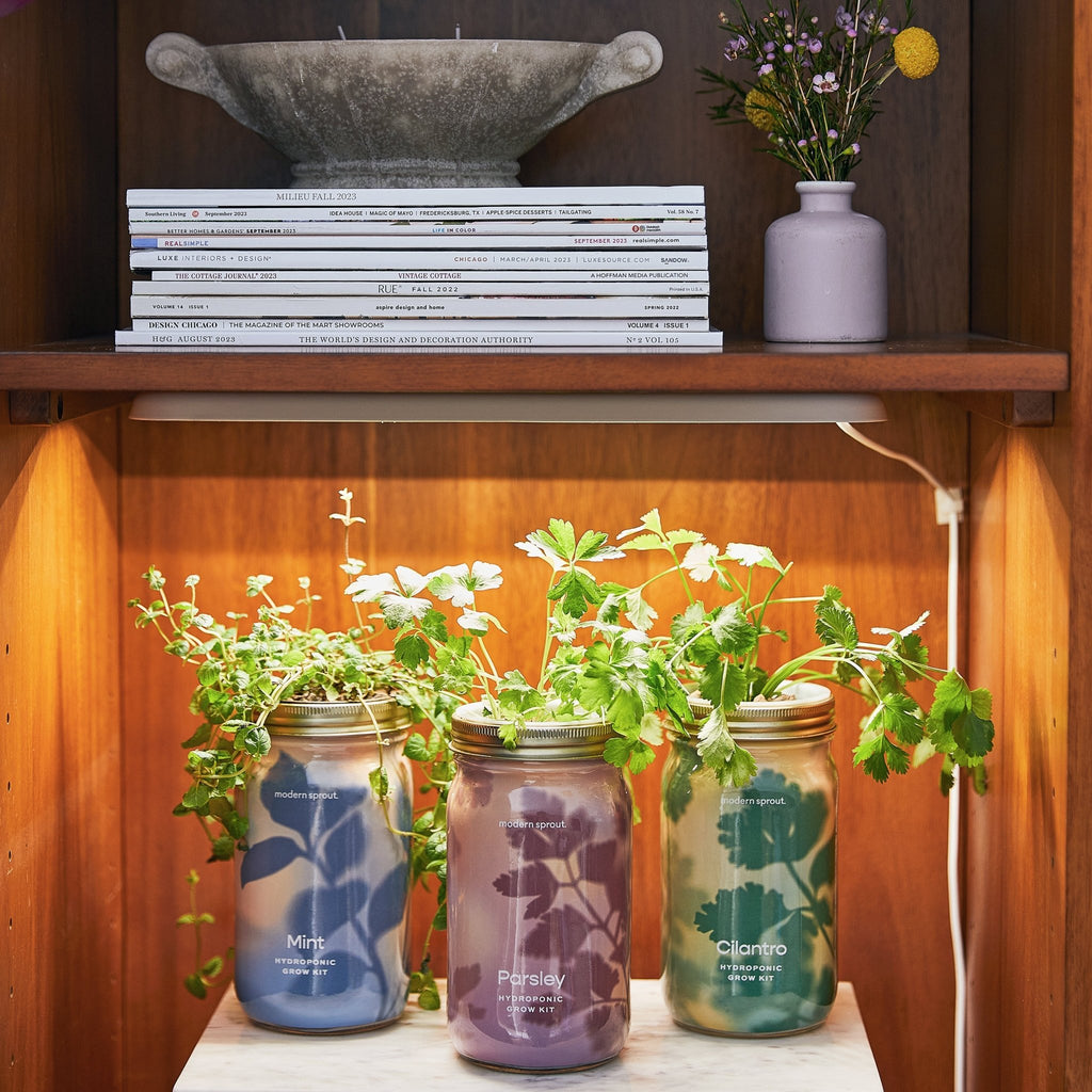 Smart Growbar - Cheeky Garden