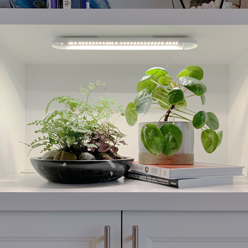 Smart Growbar - Cheeky Garden