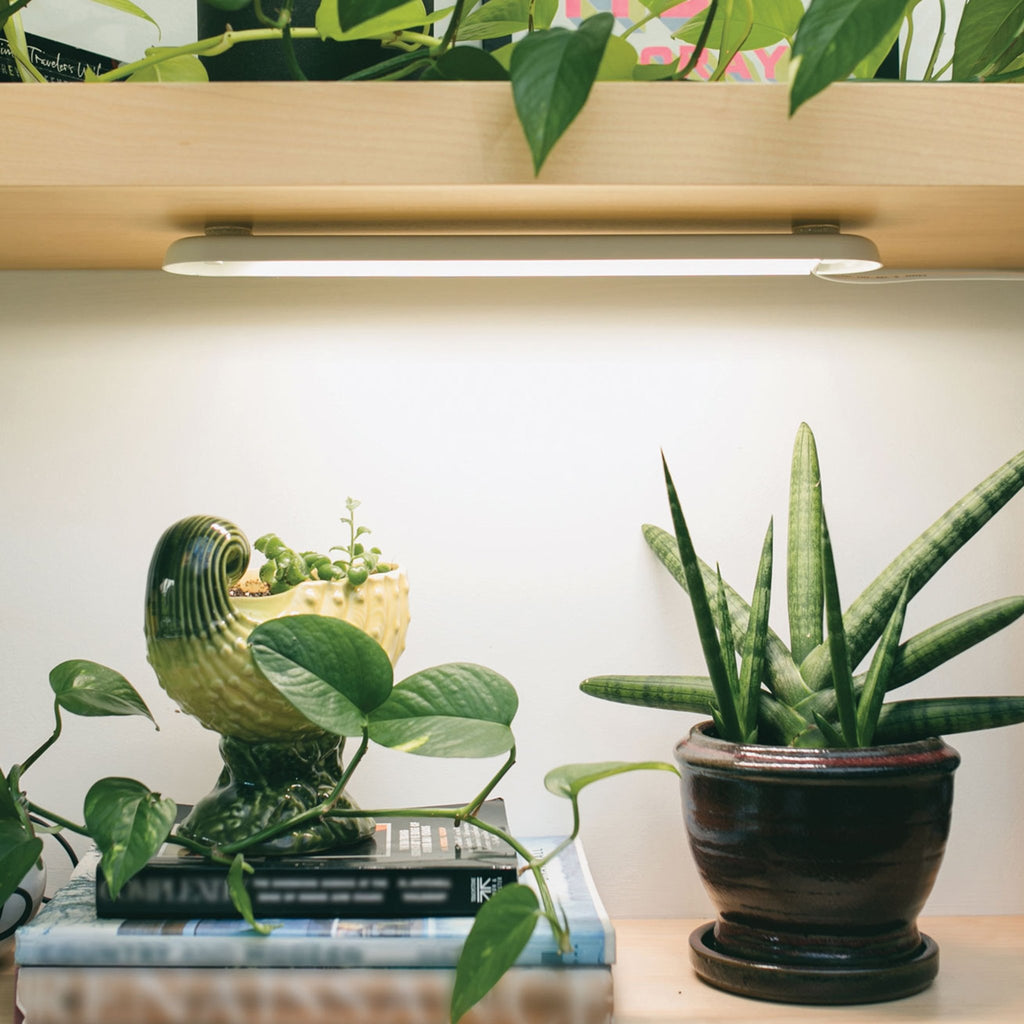 Smart Growbar - Cheeky Garden