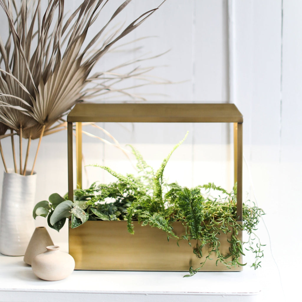 Smart Growhouse - Cheeky Garden