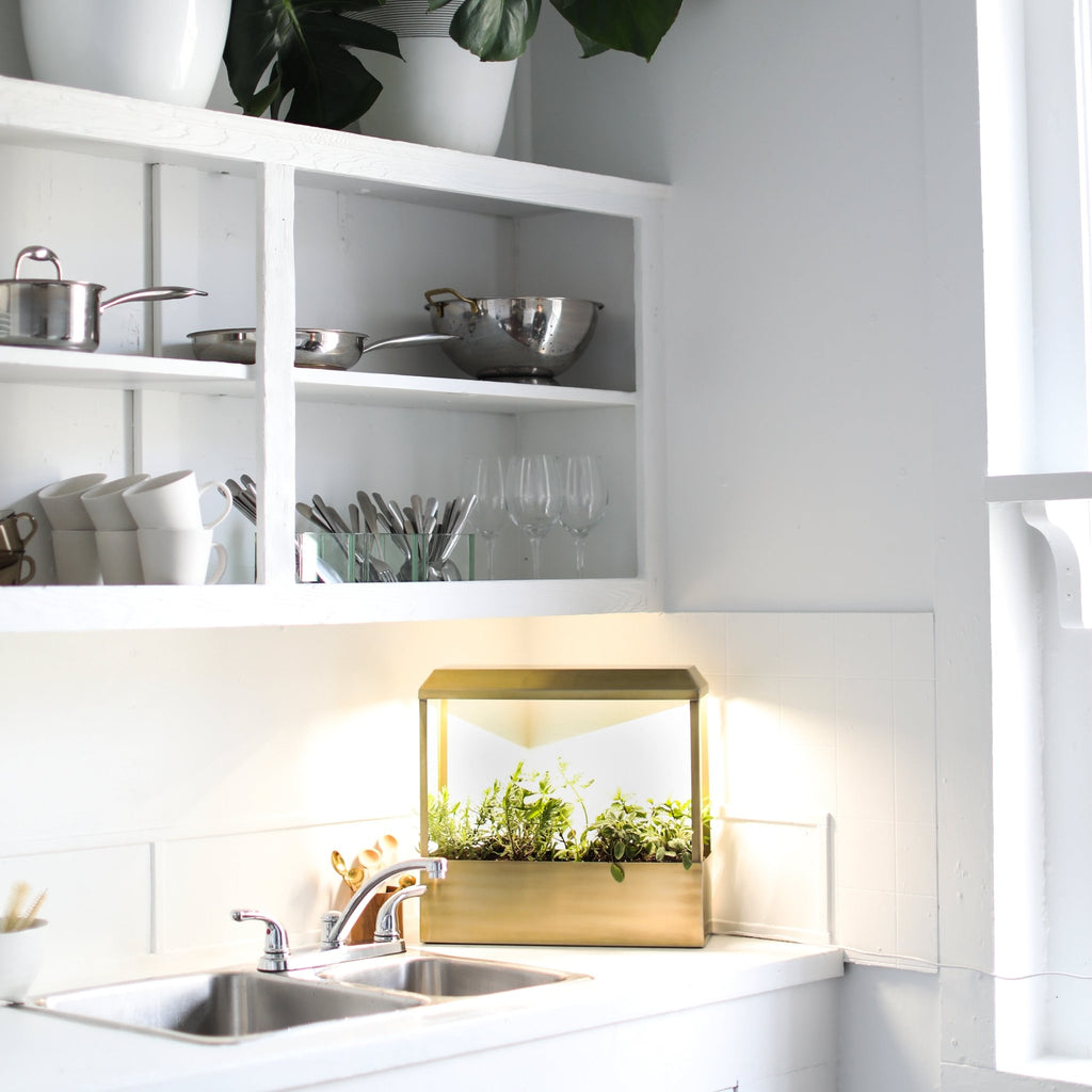 Smart Growhouse - Cheeky Garden