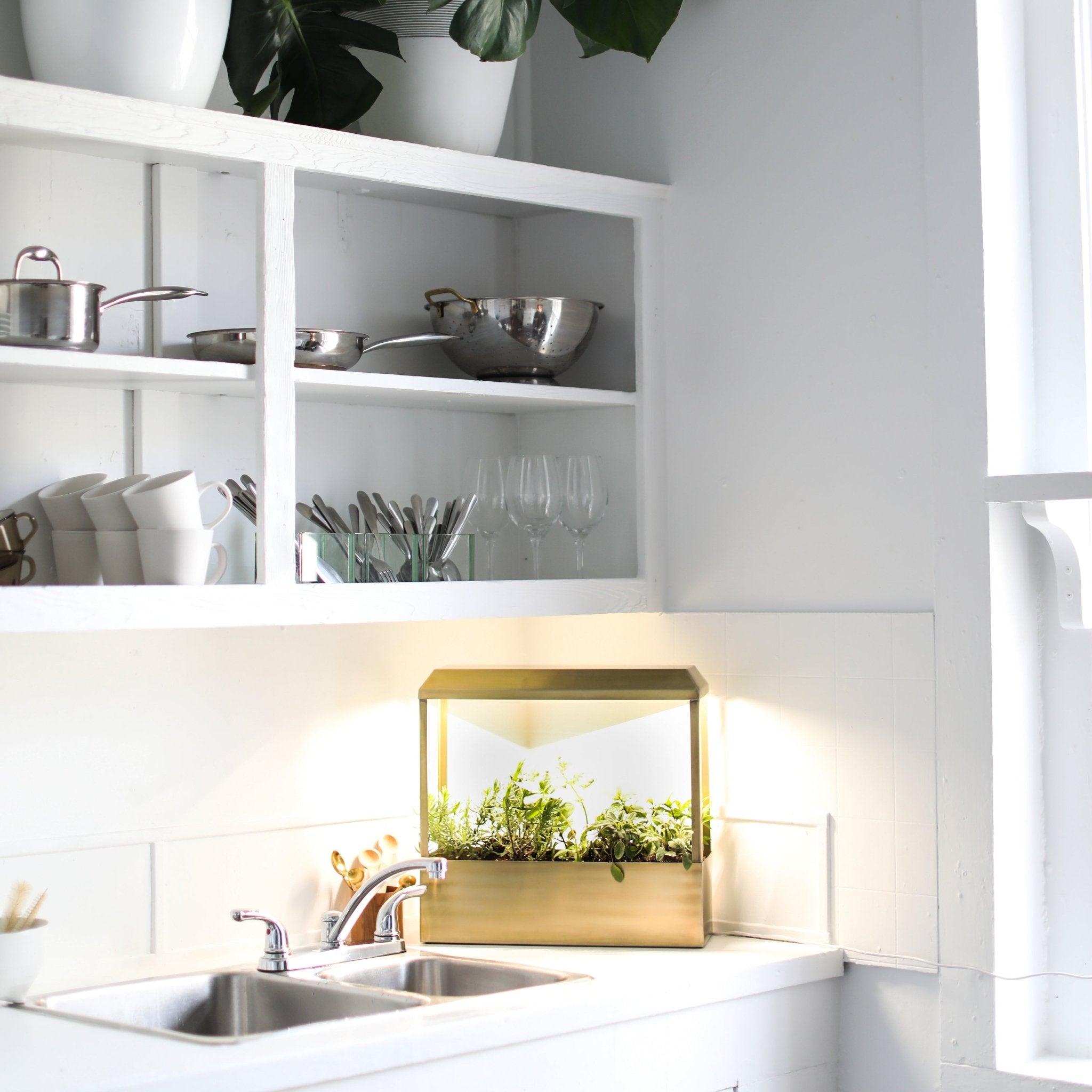 Smart Growhouse - Cheeky Garden