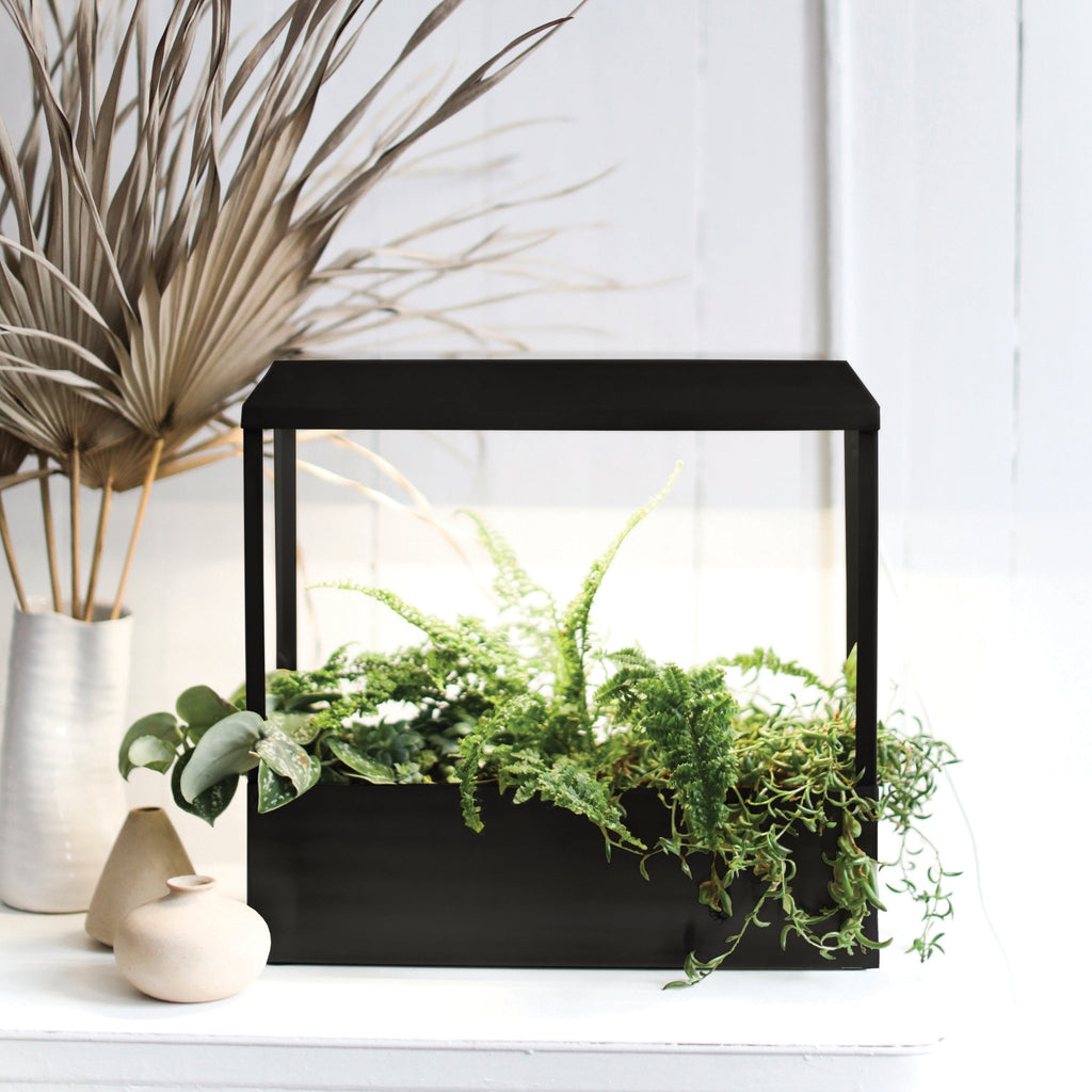 Smart Growhouse - Cheeky Garden