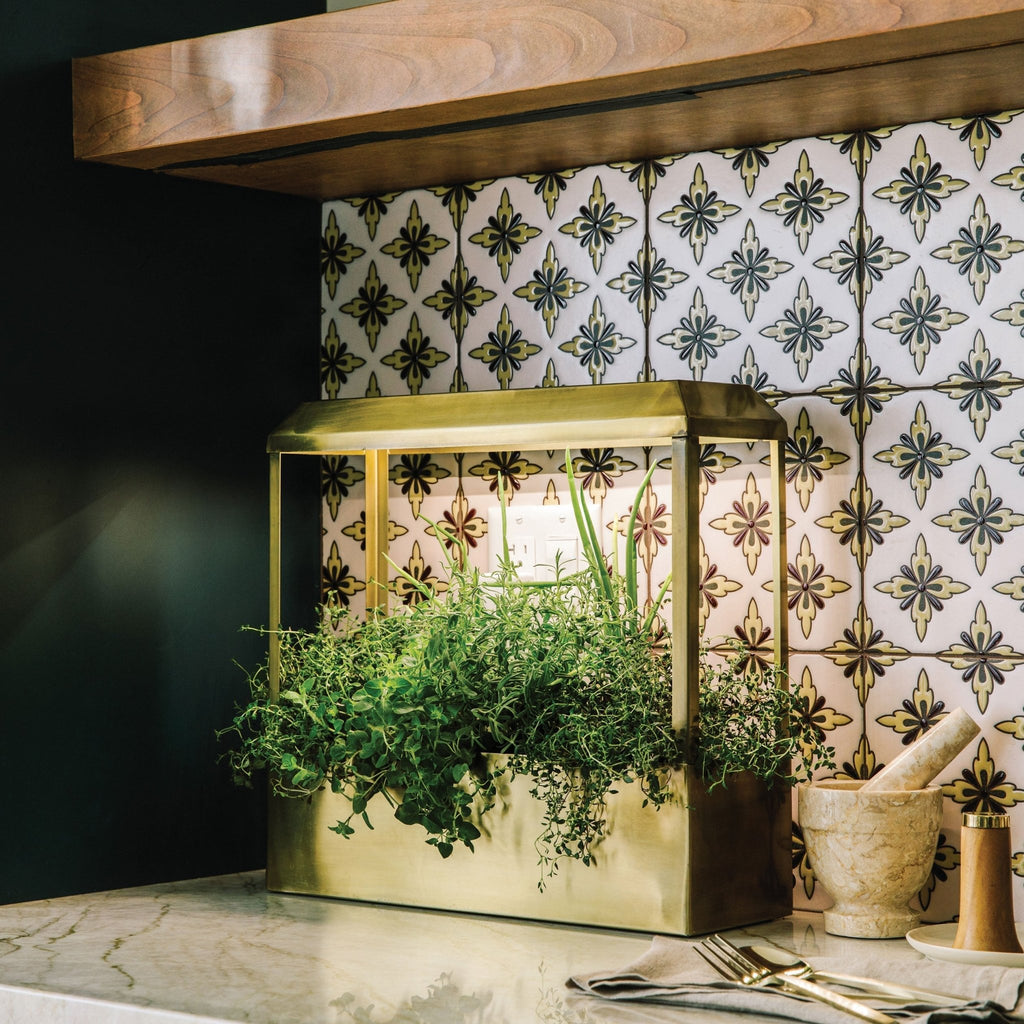 Smart Growhouse - Cheeky Garden