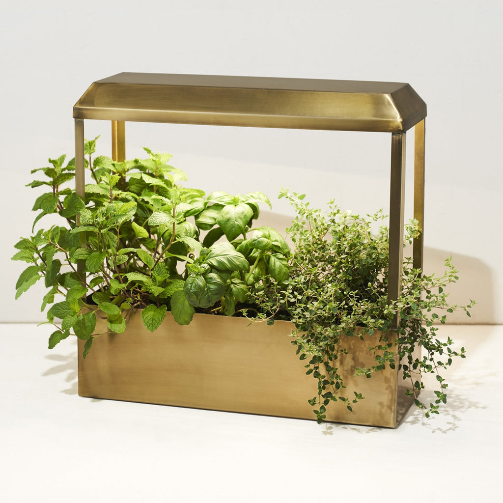 Smart Growhouse - Cheeky Garden