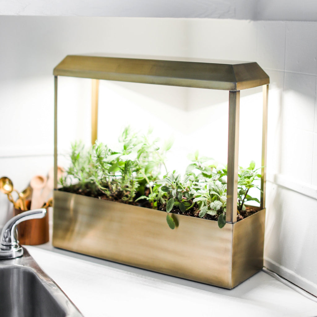 Smart Growhouse - Cheeky Garden