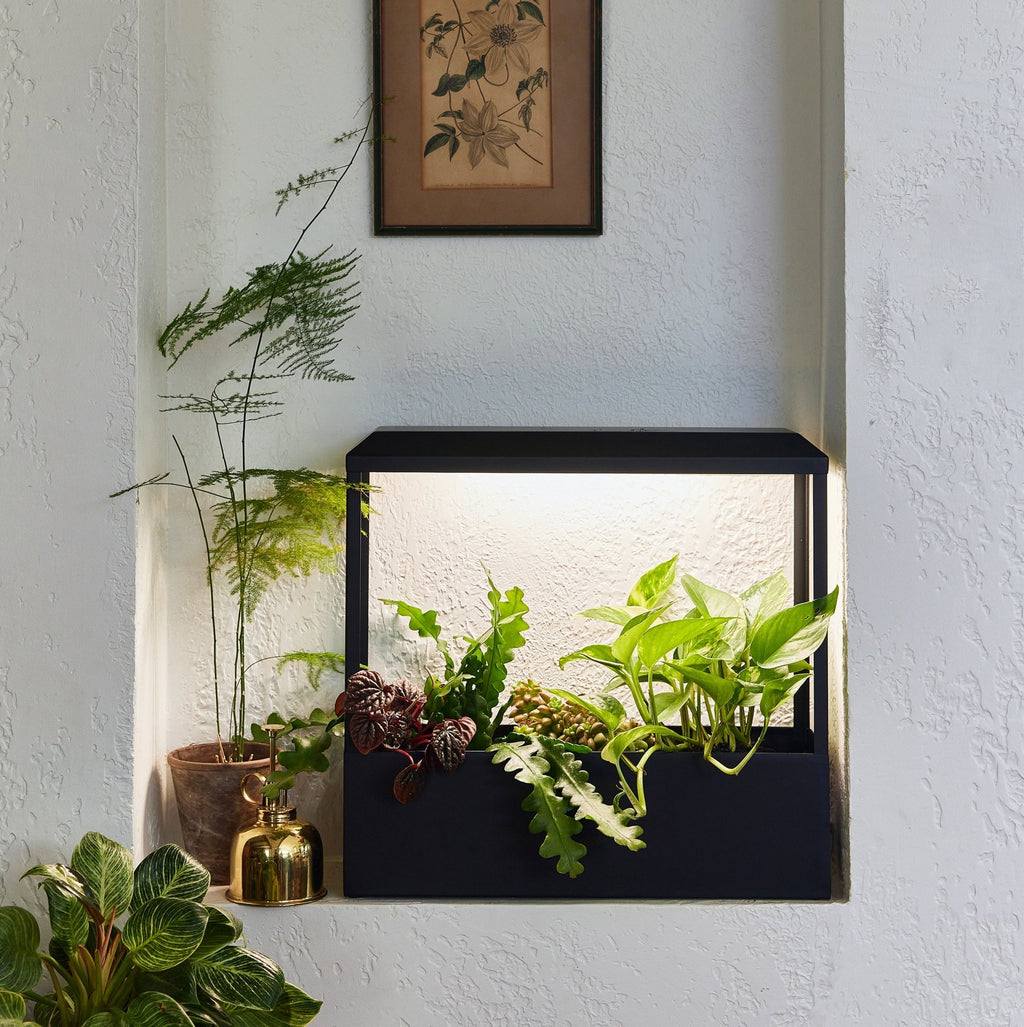 Smart Growhouse - Cheeky Garden