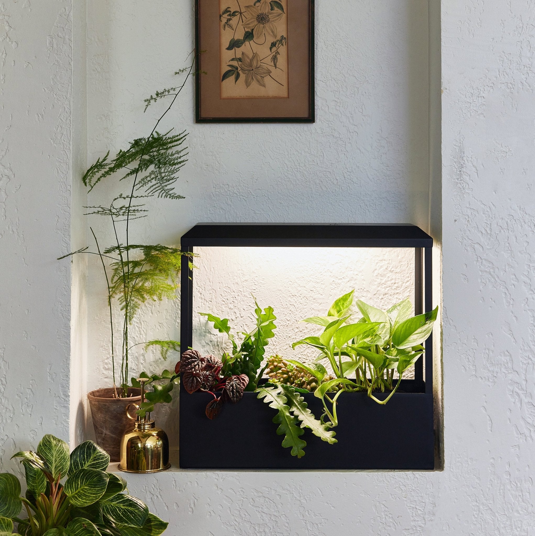 Smart Growhouse - Cheeky Garden