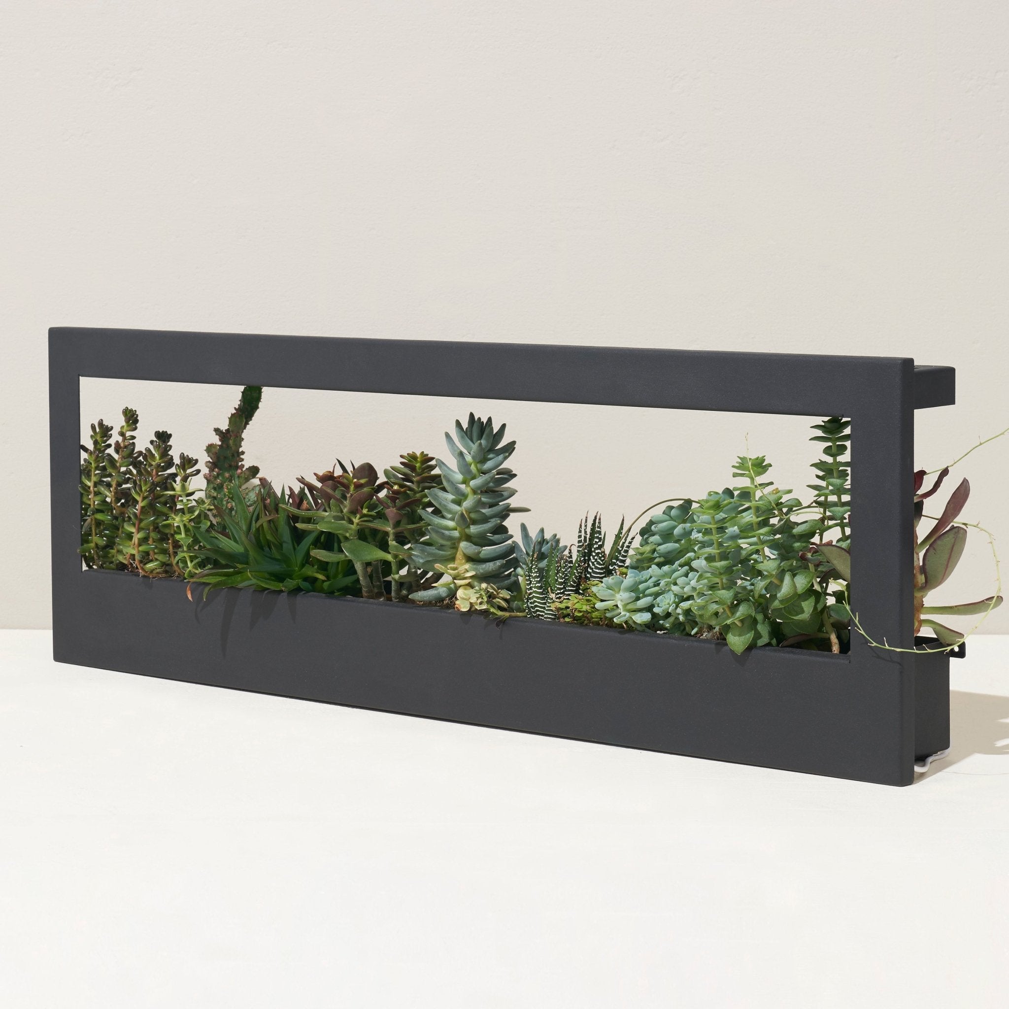 Smart Landscape Growframe - Cheeky Garden