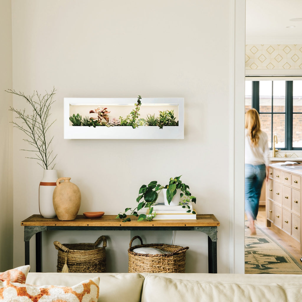 Smart Landscape Growframe - Cheeky Garden