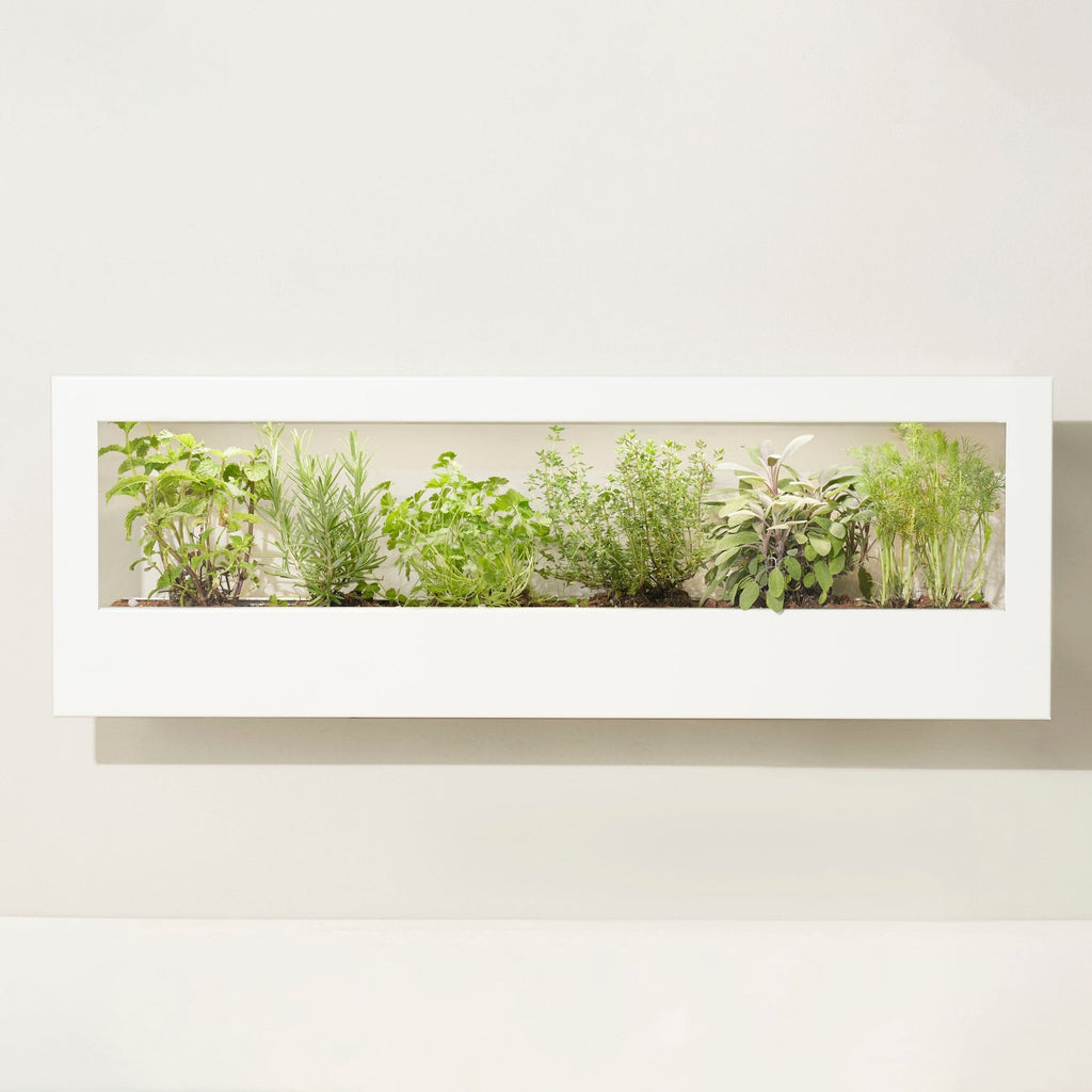 Smart Landscape Growframe - Cheeky Garden