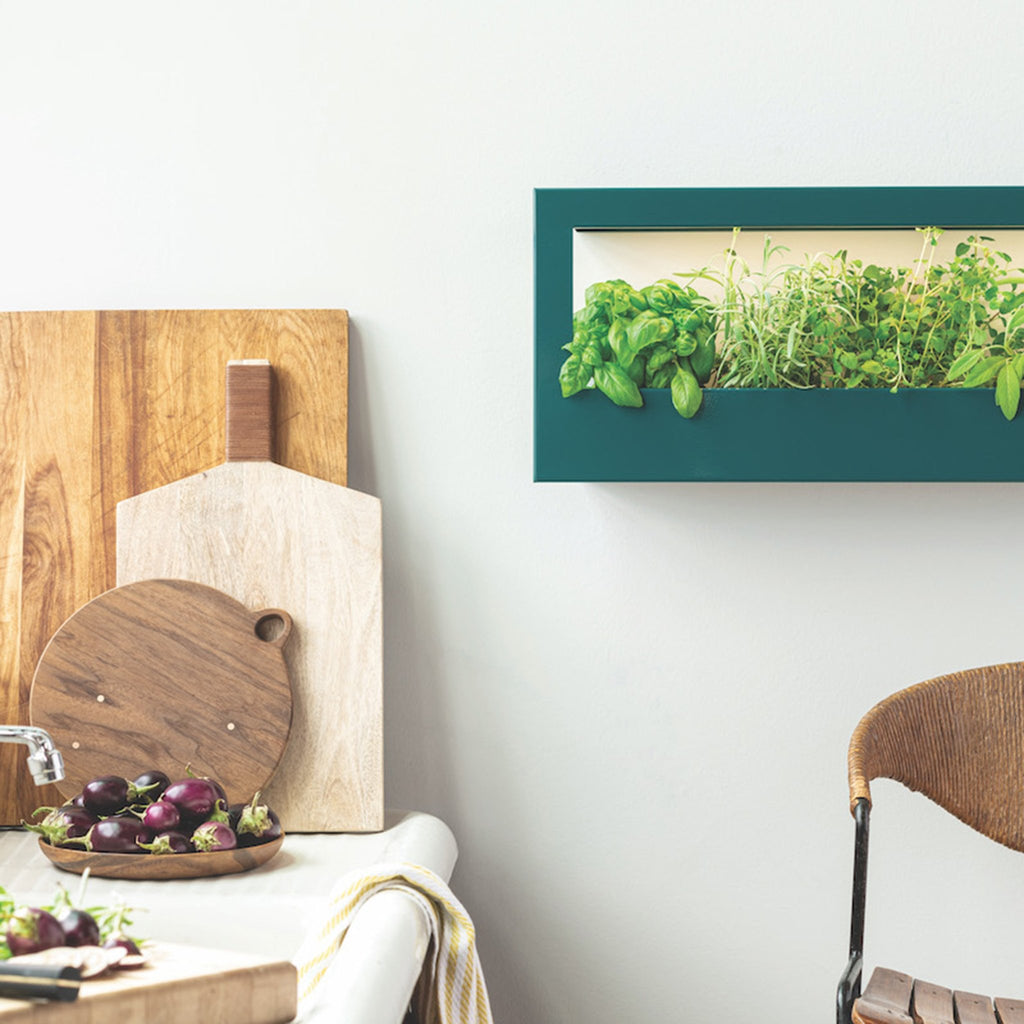 Smart Landscape Growframe - Cheeky Garden
