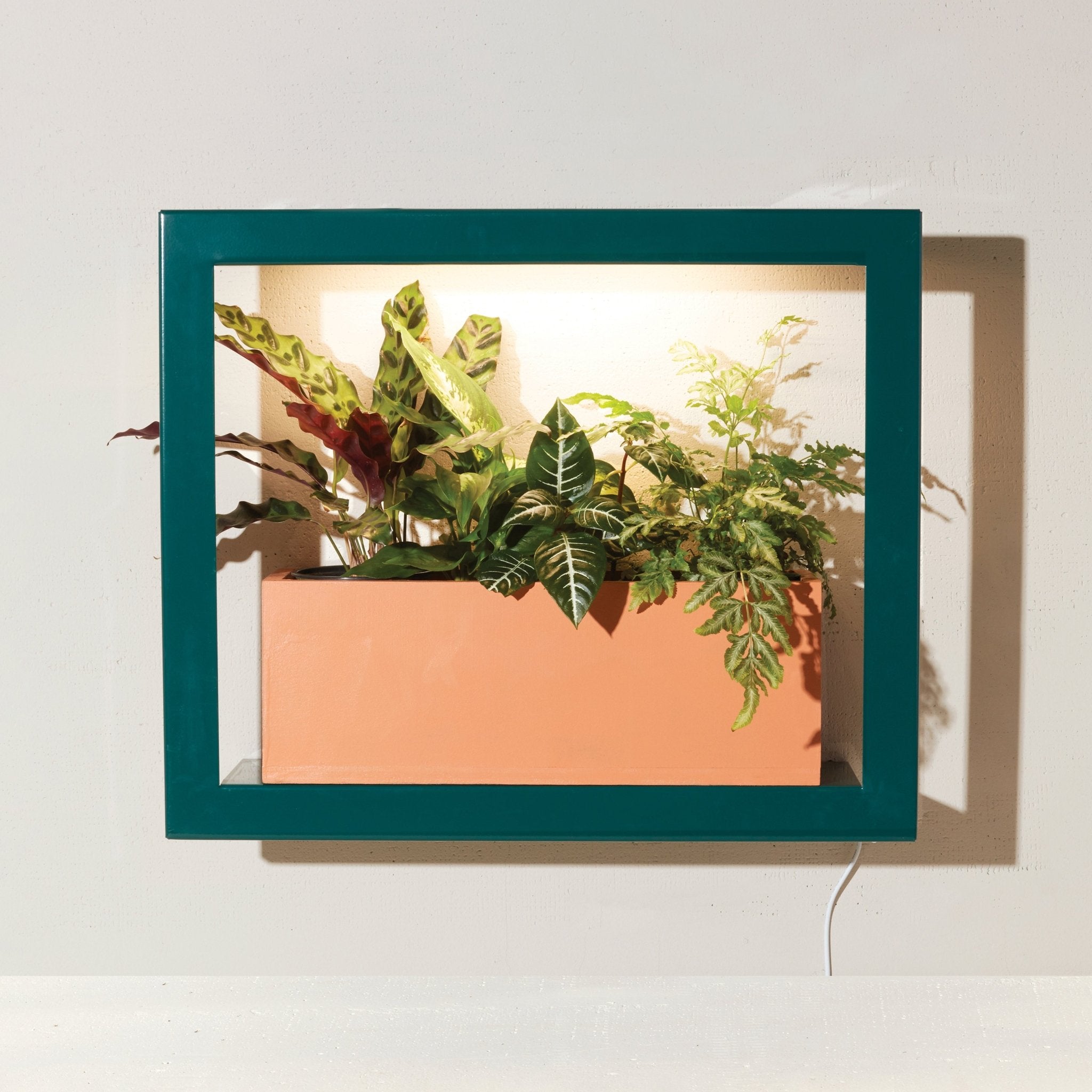 Smart Standard Growframe - Cheeky Garden