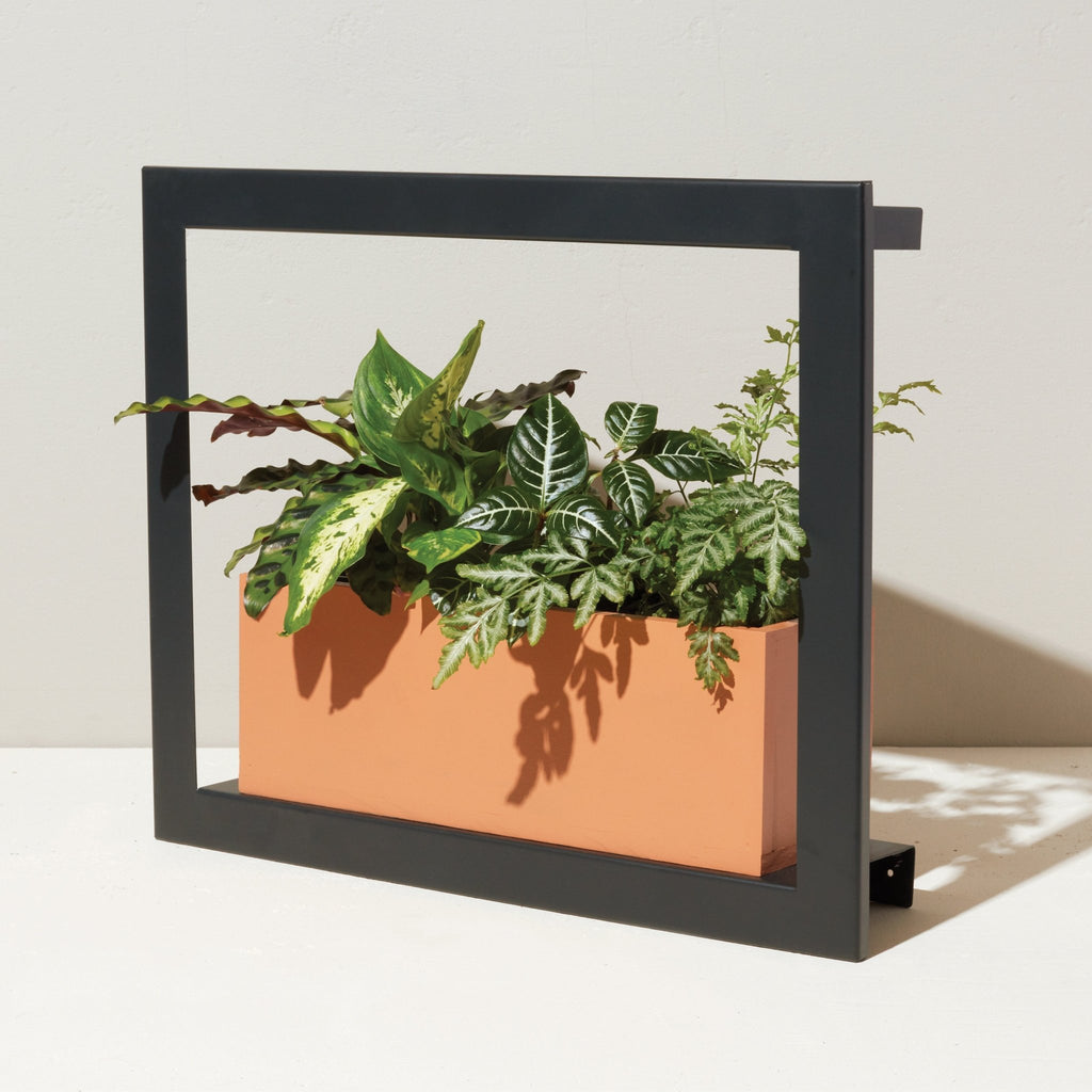 Smart Standard Growframe - Cheeky Garden
