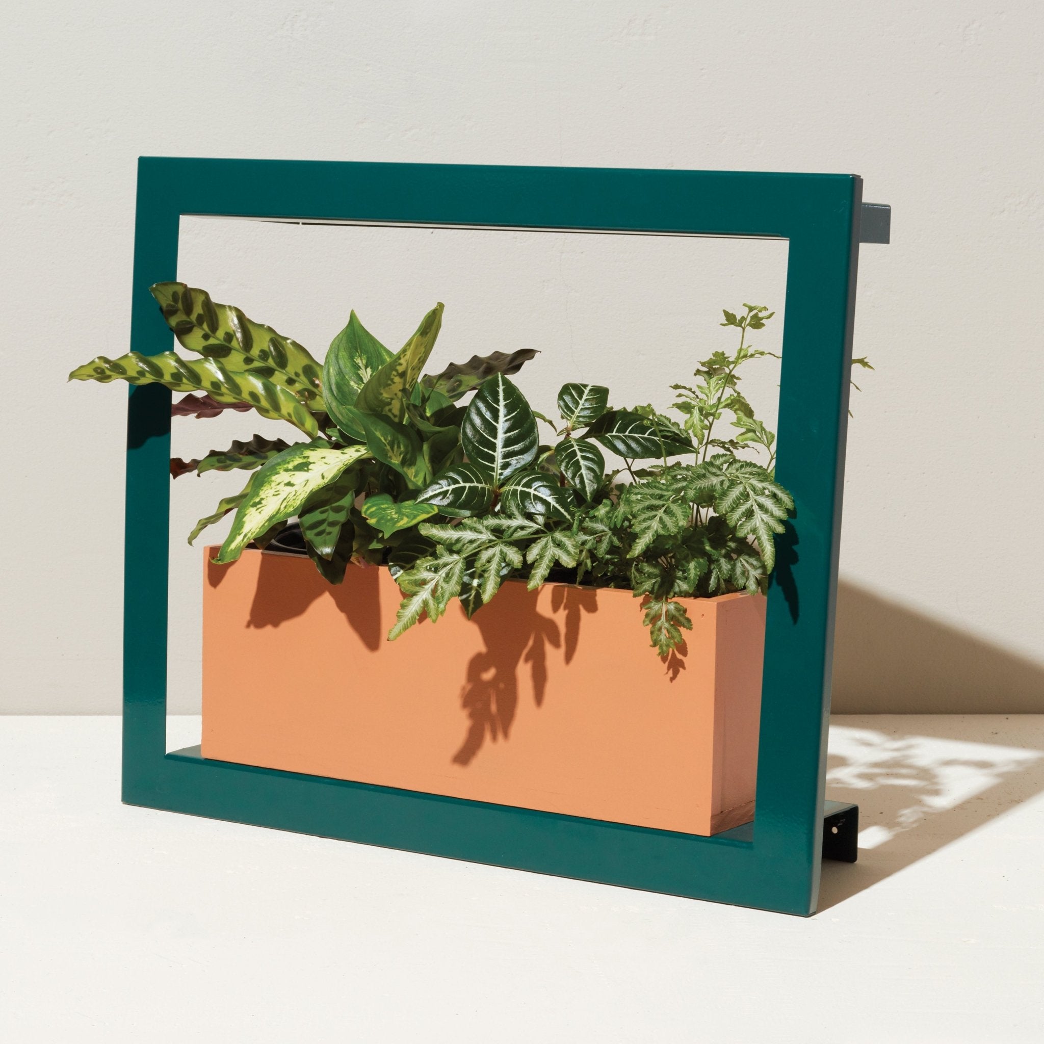 Smart Standard Growframe - Cheeky Garden