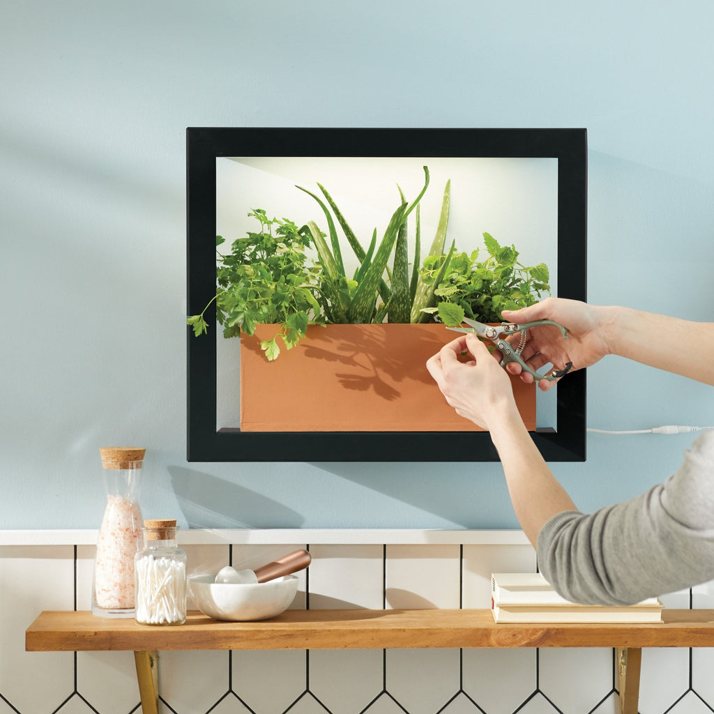 Smart Standard Growframe - Cheeky Garden