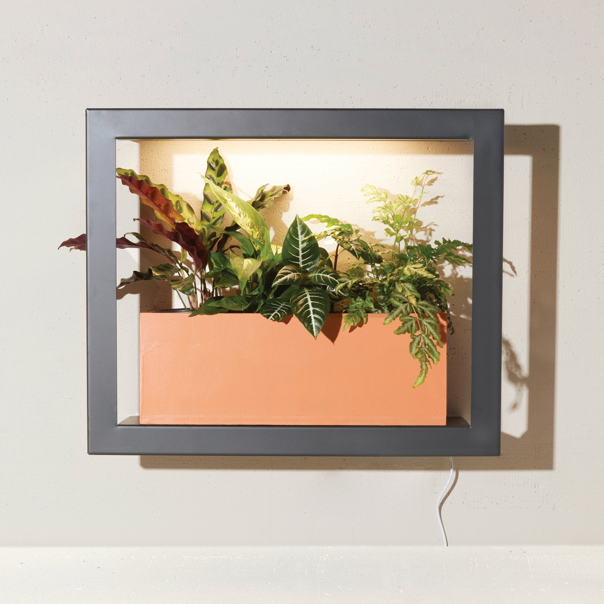 Smart Standard Growframe - Cheeky Garden