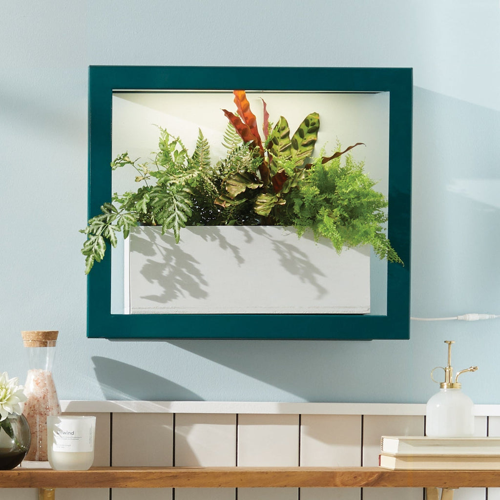 Smart Standard Growframe - Cheeky Garden